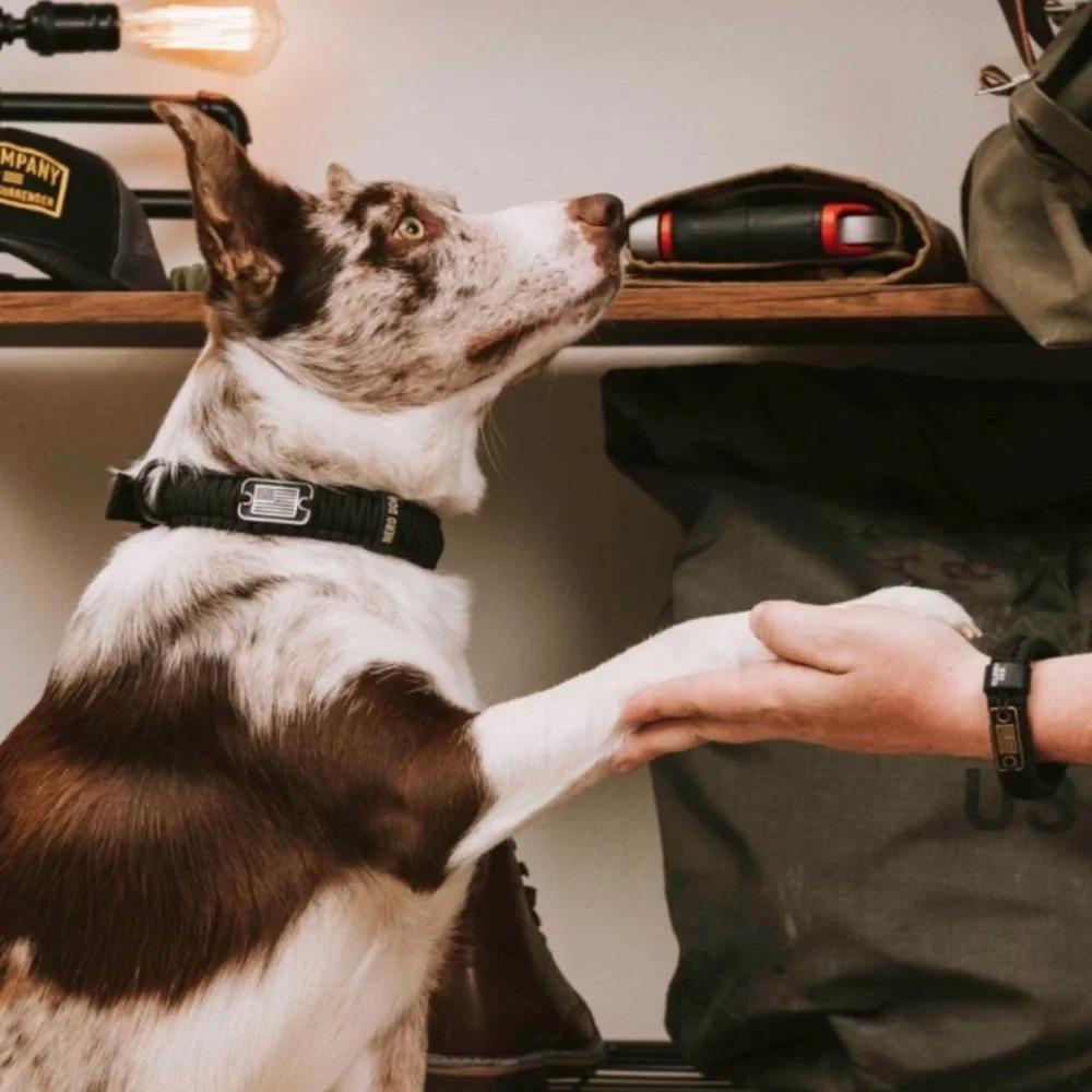 The Hero Company’s Never Forgotten Men's Bracelet & Dog Paracord Collar Bundle
